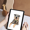 Custom Hand Illustrated Pet Portraits